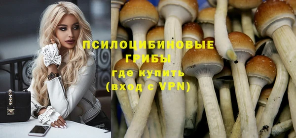 Альфа ПВП Баксан