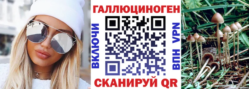 как найти наркотики  Куса  Галлюциногенные грибы мухоморы 